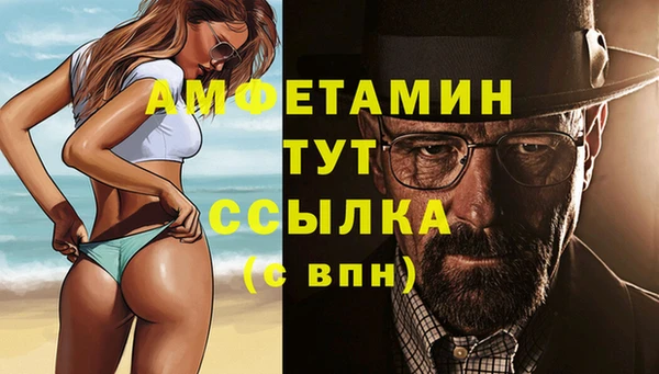 дмт Дмитровск