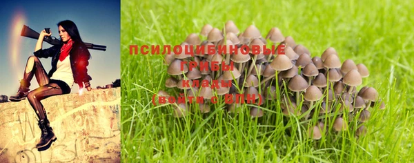 дмт Дмитровск