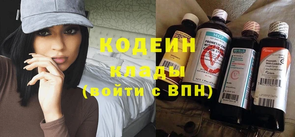 дмт Дмитровск