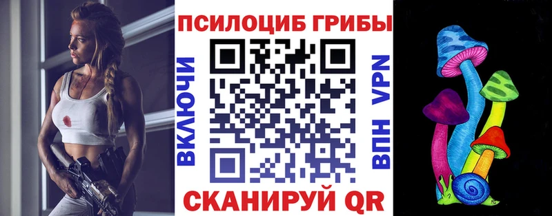 Купить  Фокино  Галлюциногенные грибы Psilocybine cubensis 